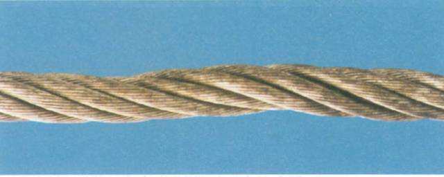 1694006123650140.jpg 3.jpg